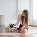 Breathe Easier with Honeywell 16x25x5 Replacement Filters and an Air Ionizer: The Ultimate Duo for Reducing Allergens, Odors, and Airborne Contaminants in Your Home